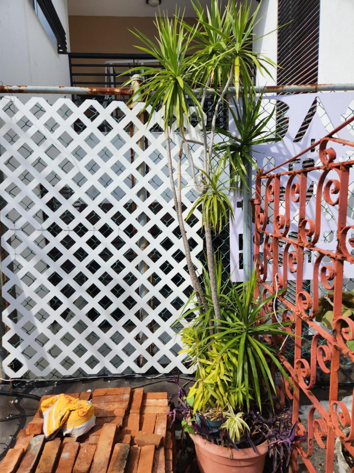 Fabulous Rooftop 2 Colonial Room For 4 Santo Domingo Rom bilde